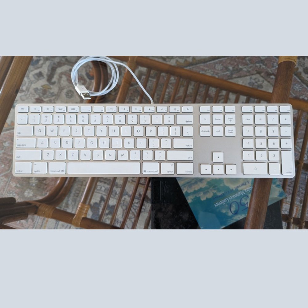 Apple Wired Keyboard, Model A1243 w/ Numeric Keypad, EUC, CLEAN